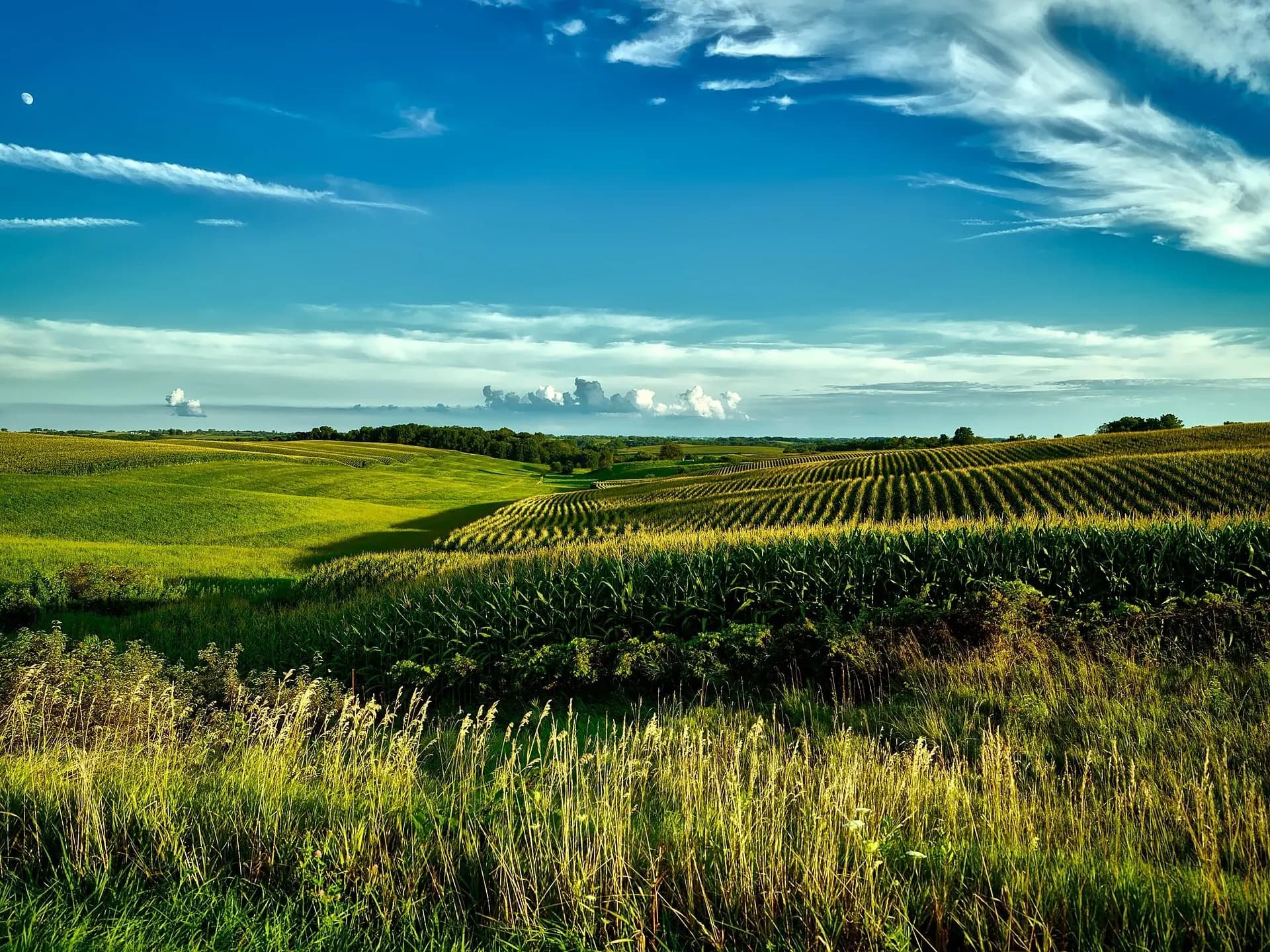 Parks in Iowa