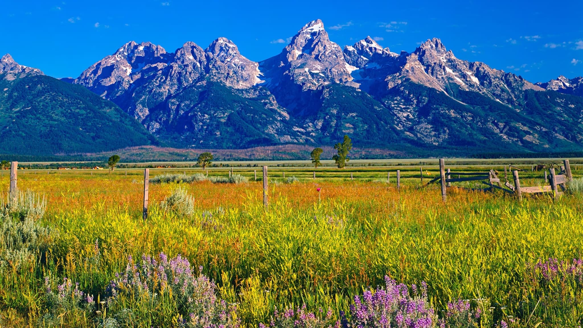 Parks in Wyoming