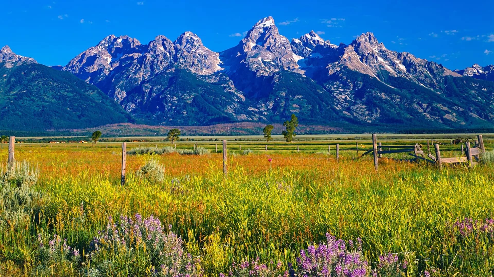 Parks in Wyoming